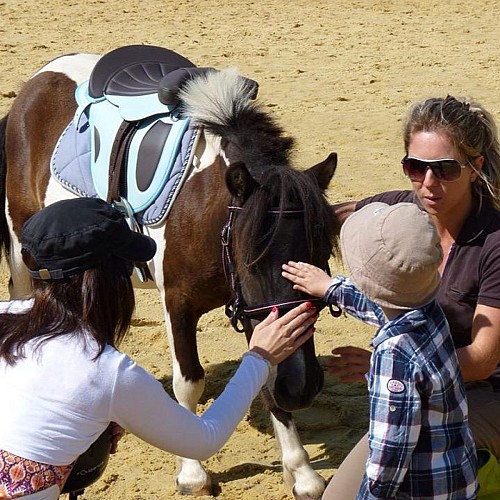 Coeurdebastides_Pailloles_siteactivités_poneyclubdémilie7_20160921