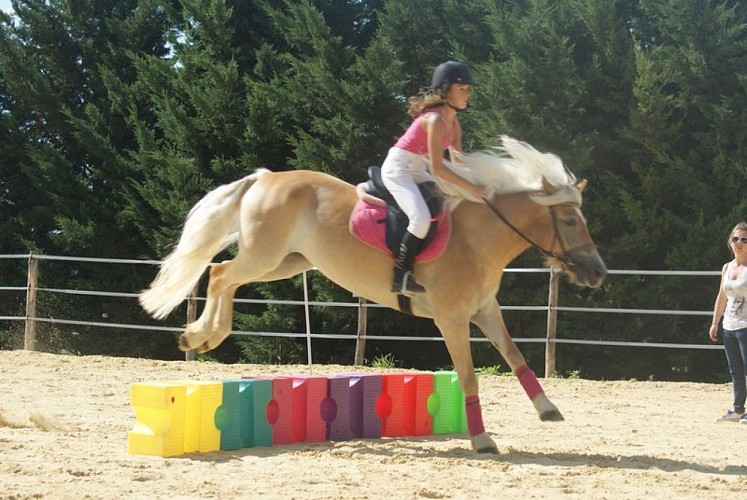 Coeurdebastides_Pailloles_siteactivités_poneyclubdémilie3_20160921 (800x600)