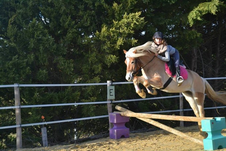 Coeurdebastides_Pailloles_siteactivités_poneyclubdémilie8_20160921