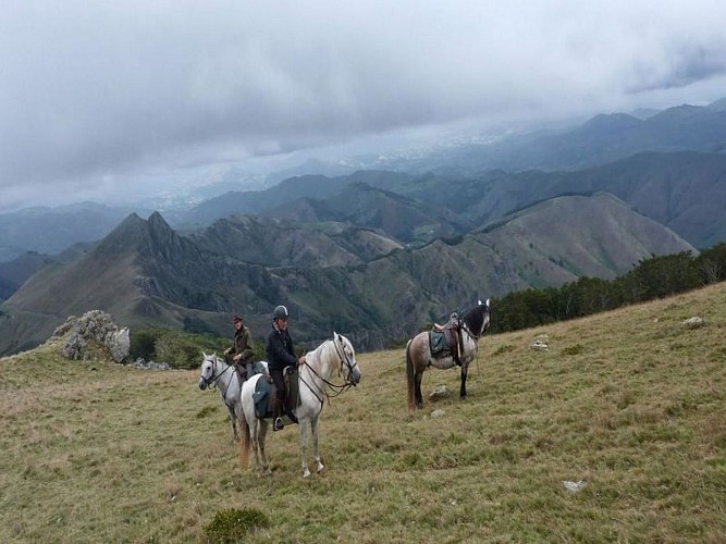 La Ferme équestre Les Collines - vue montagne basque