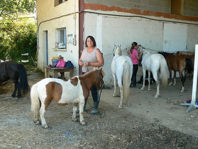 St Castin élevage du brana cph OT (20)