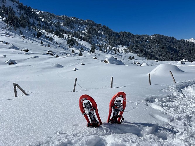 Sortie en raquettes à neige en Pyrénées béarnaises