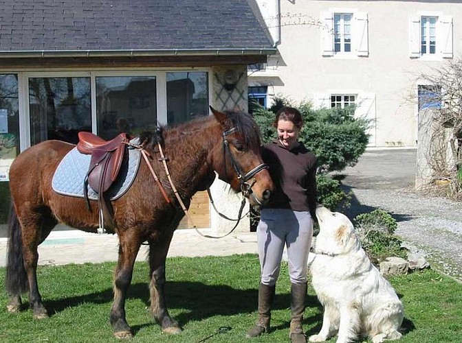 Lo Casau - Artigueloutan - Cheval et chien