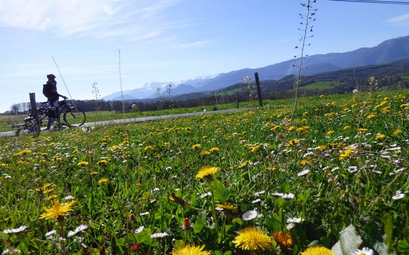 printemps---c.gaucher-ok