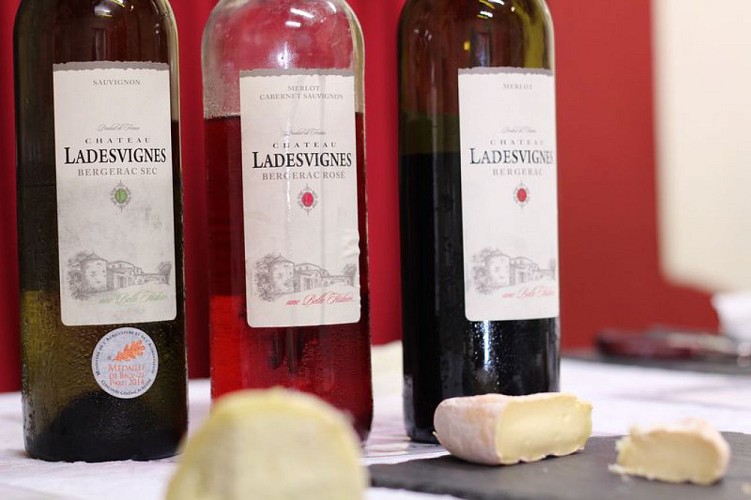 Chateau-Lasdesvignes-Degustation-vins-et-fromages---MC-Grasseau--17-