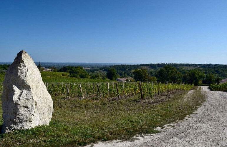 autour_saussignac-chateau_le_tap (52)-2