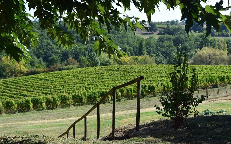 autour_saussignac-chateau_le_tap (84)-2