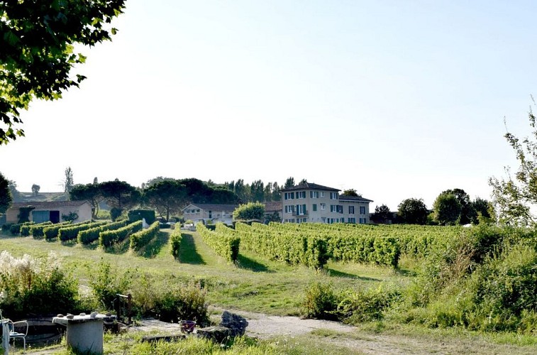 autour_saussignac-chateau_court_les_muts (158)-2