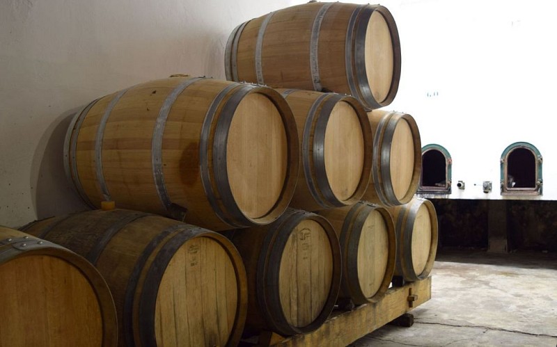 autour_saussignac-chateau_court_les_muts (20)-2