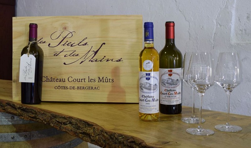 autour_saussignac-chateau_court_les_muts (40)-2