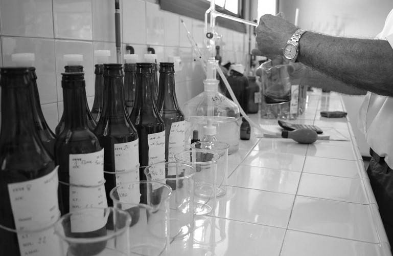 autour_saussignac-chateau_court_les_muts (89)-2