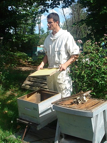 apiculteur-au-rayon-de-miel