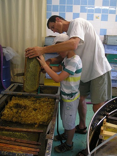 démonstration-miellerie-apiculture-corre
