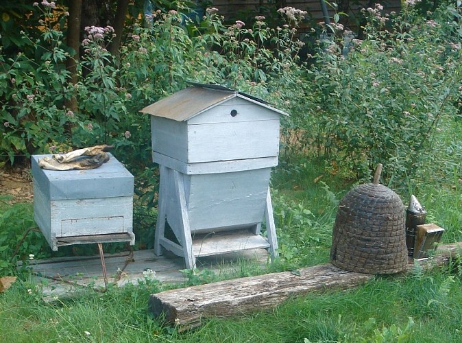 Au Rayon de Miel ruches