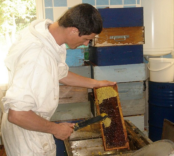 apiculteur-au-rayon-de-miel (3)