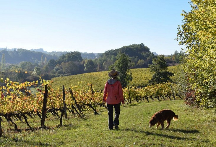 autour_saussignac-chateau_feely (21)-2