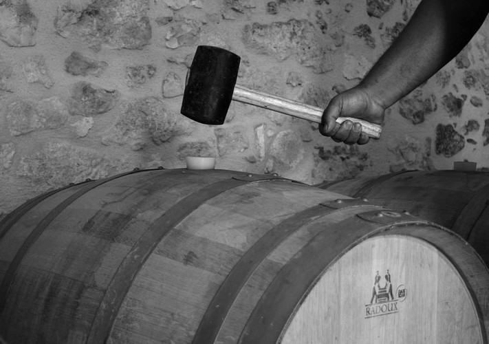 autour_velines-domaine_moulin_garreau (68)-2