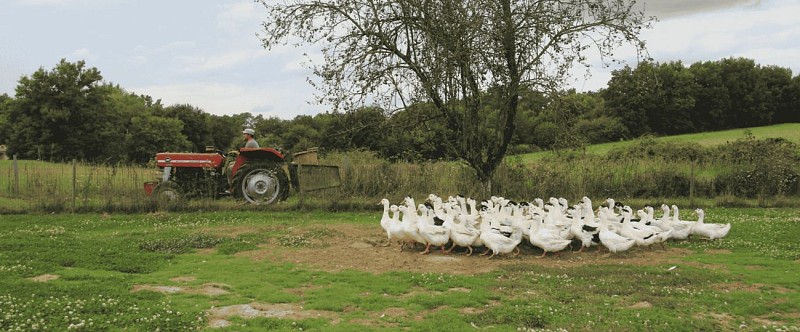 Photos Puygauthier format Office Tourisme (2)