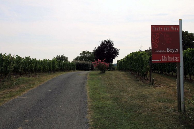 Autour de Monbazillac_Domaine du Boyer (18)_2