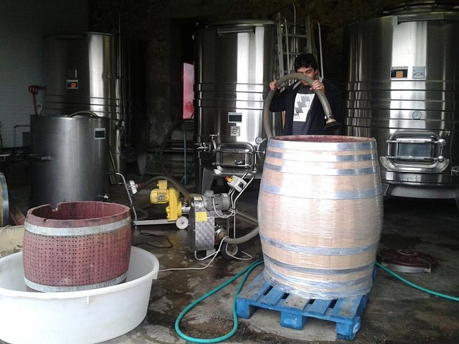 domaine-du-boyer (9)