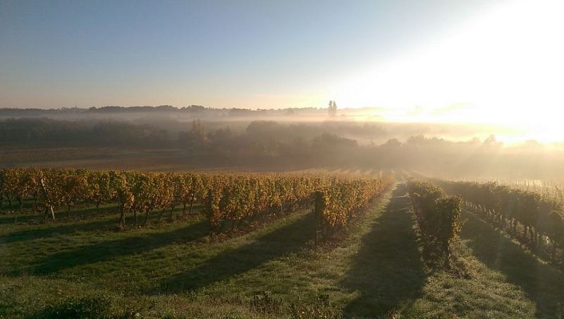 domaine-du-boyer (11)