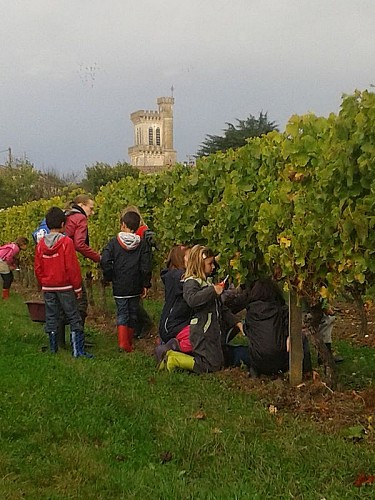 domaine-du-boyer (3)