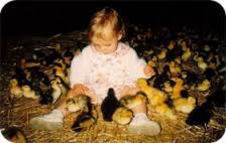 téléchargement (6)