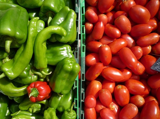 Jardin de Françoise légumes