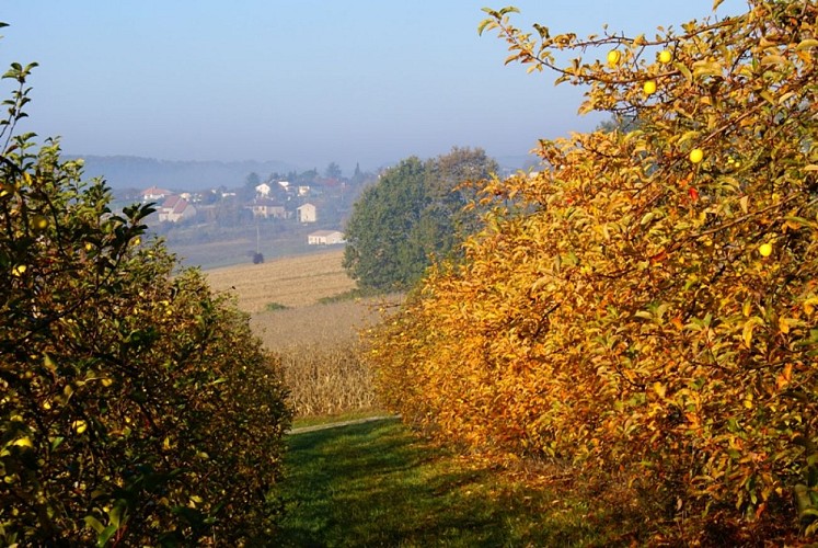 Vergers des Grangiers automne