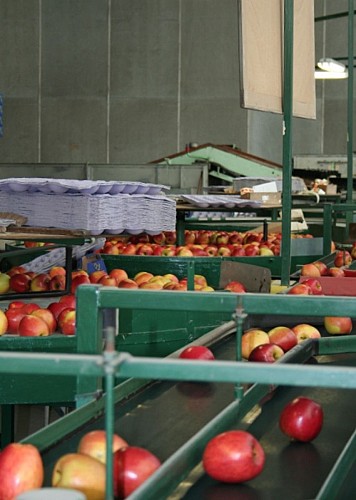 Vergers des Grangiers station fruitière