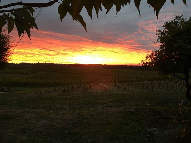 barouillet-bergerac-photo3