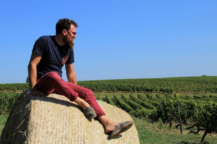 autour de Monbazillac_Château Barouillet (38)_2