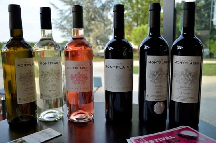 chateau-montplaisir (3)