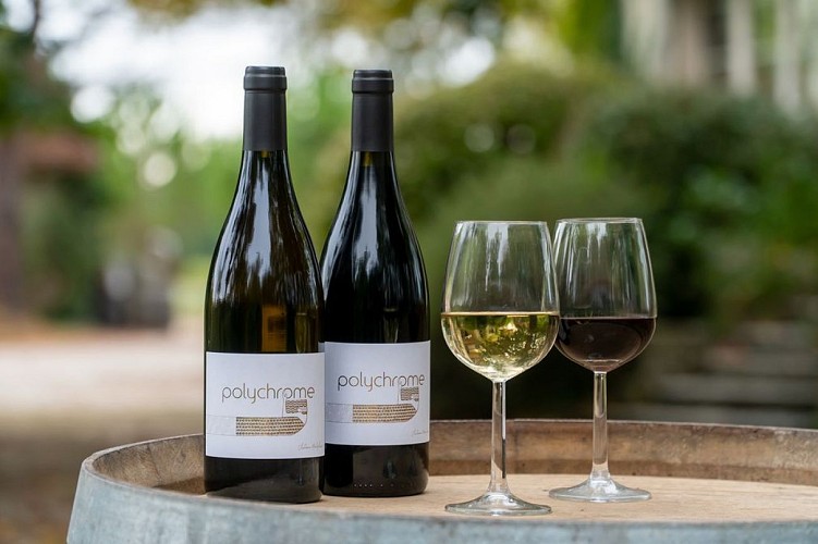 DSC00963-polychrome-web