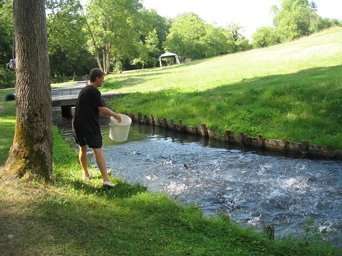 pisciculture moulin de Boissonnie Douzillac  bassin truites et saumons de fontaine