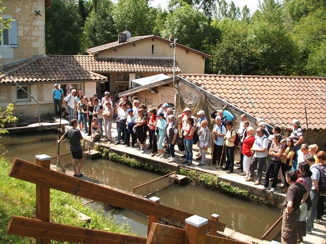 pisciculture-moulin-boissonnie-douzillac 13