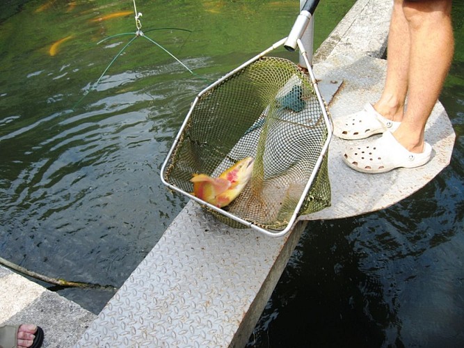 Pisciculture Moulin de Boissonnie