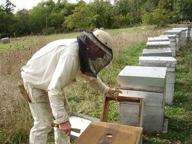 Apiculture Issac