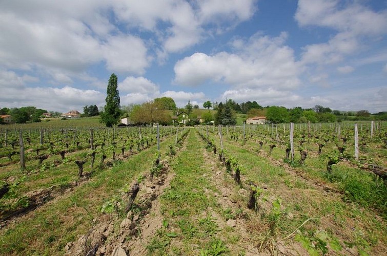 PECHARMANT_CLOS LES COTES (1)