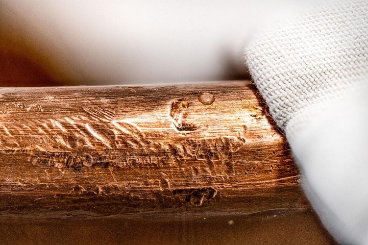 Au Temps d'Eugénie 6