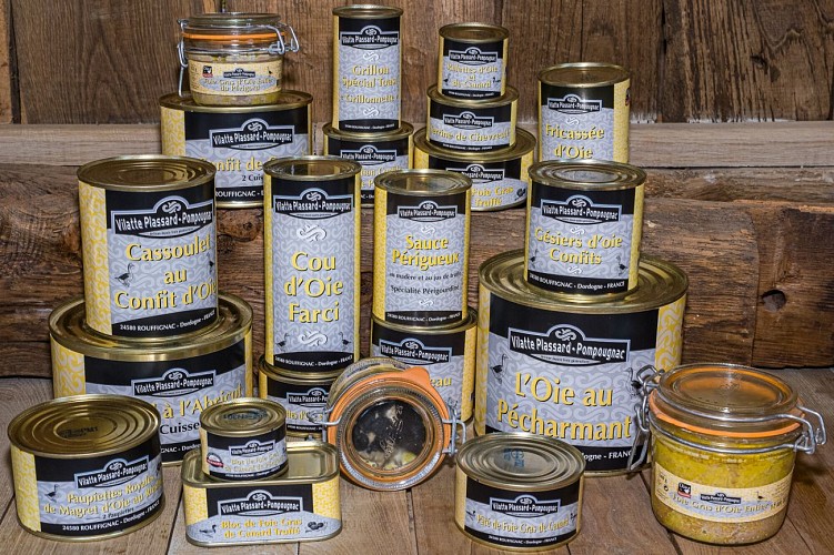 Photographe Laurent Smet