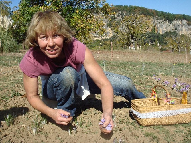 La-cueillette-les-safrannelles