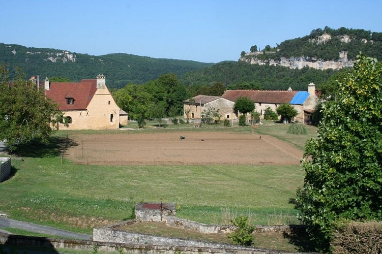 Vue-safraniere-les-safranelles