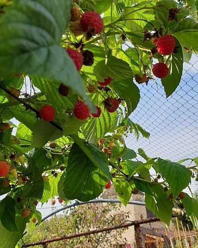 Resized_IMG_20210911_145539_0081