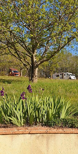 Resized_20240420_092100_resized1