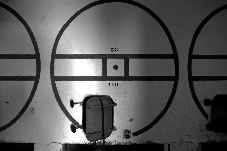 Autour de Monbazillac_Château Poulvère (13)_2