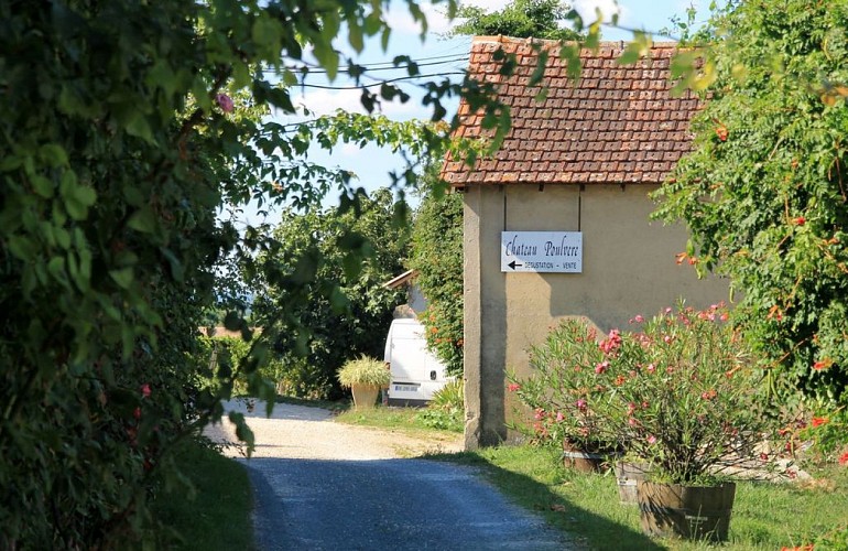 Autour de Monbazillac_Château Poulvère (2)_2