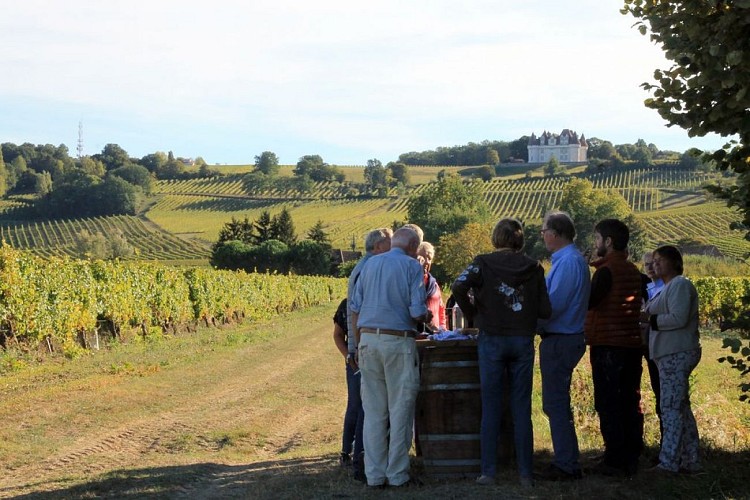 Autour de Monbazillac_Château Poulvère (67)_2
