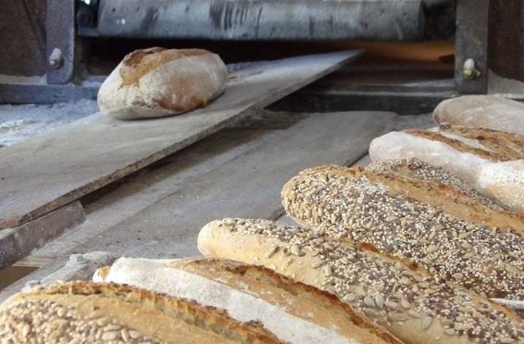 Le Pain d'antan - Paysan Boulanger