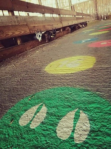 PARCOURS LUDIQUE ENFANTS CHEVRES FERME